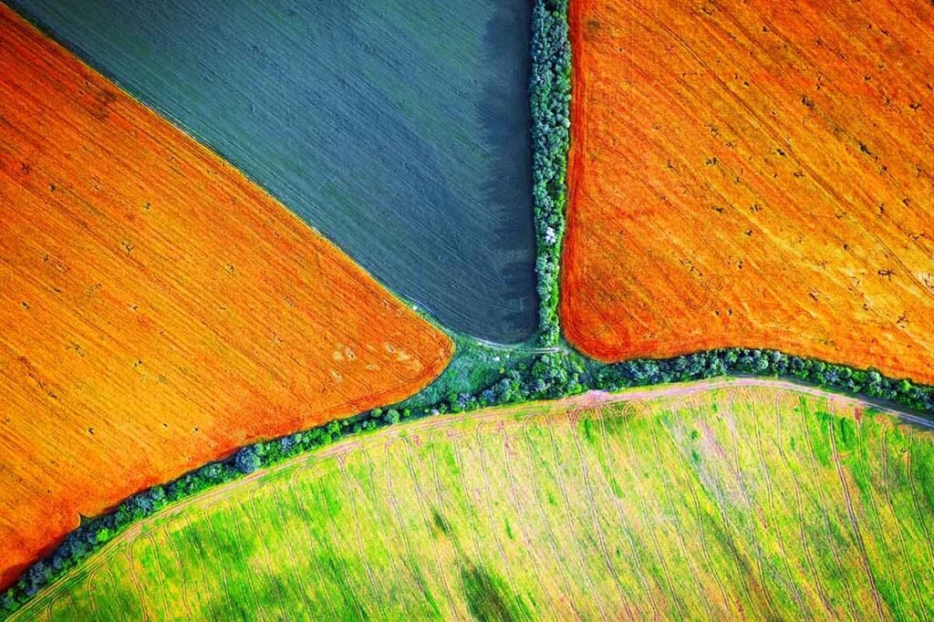 aerial drone top view fields 2021 09 03 05 20 58 utc.jpg