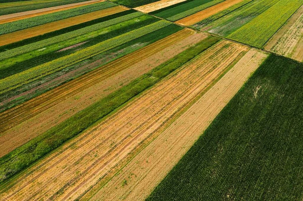 aerial view of cultivated agricultural fields in s 2021 08 26 23 03 13 utc.jpg