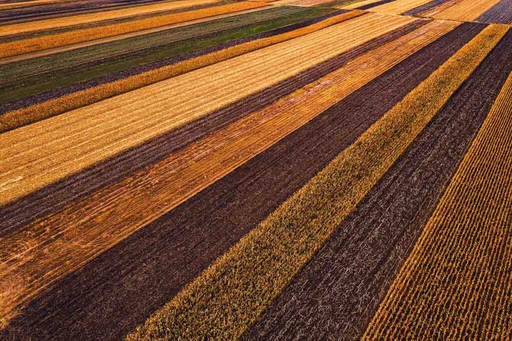 agricultural fields from above drone photography 2021 08 27 22 26 53 utc.jpg